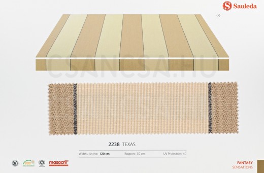 2238 Texas